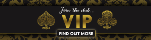 VIP Program 300x80