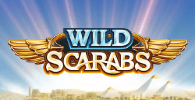 Wild Scarabs Homepage Image